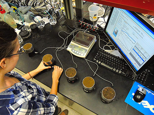 Laboratory set-up to measure soil water retention curves.
